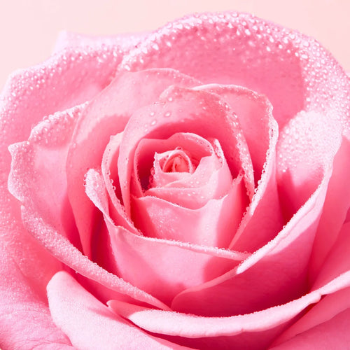 Nuxe – Very Rose Espuma Limpiadora – 150 ml.