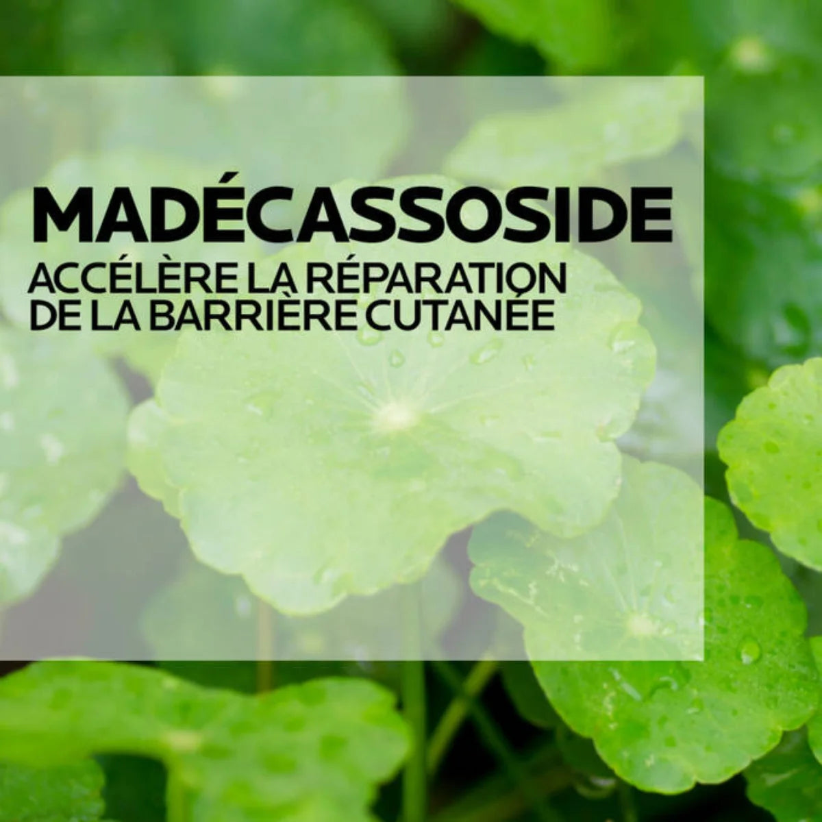 La Roche Posay – Cicaplast Baume B5+ Bálsamo Reparador Calmante – 15 ml.